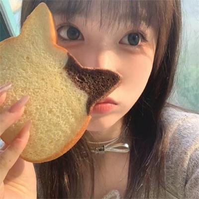 高斯电子公司