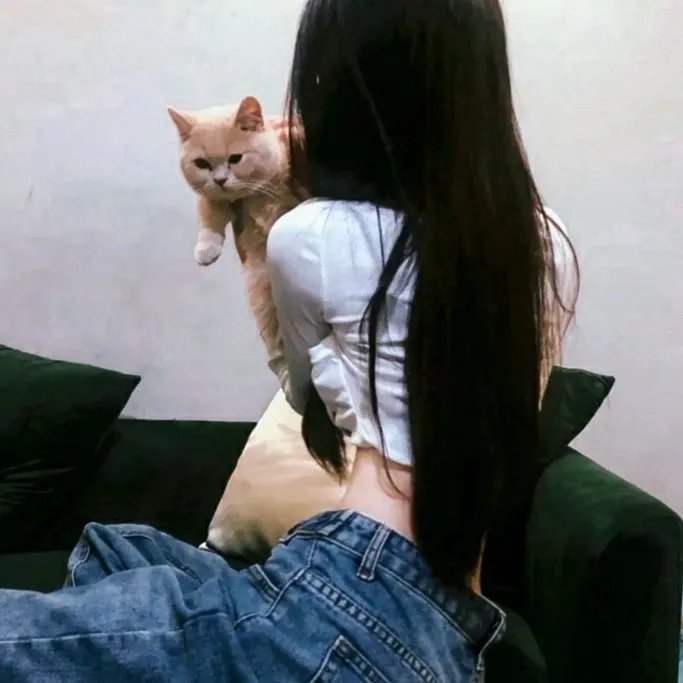 大熊猫传奇
