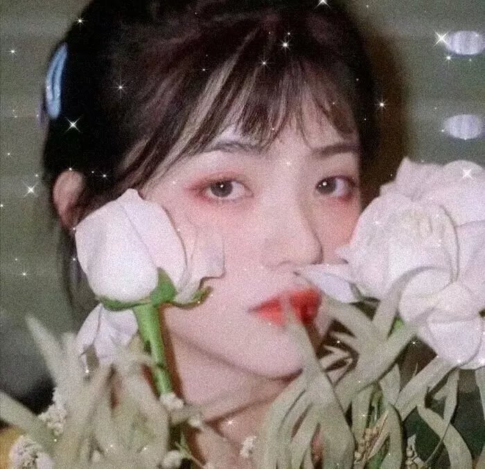 性爱、廉耻、眼泪